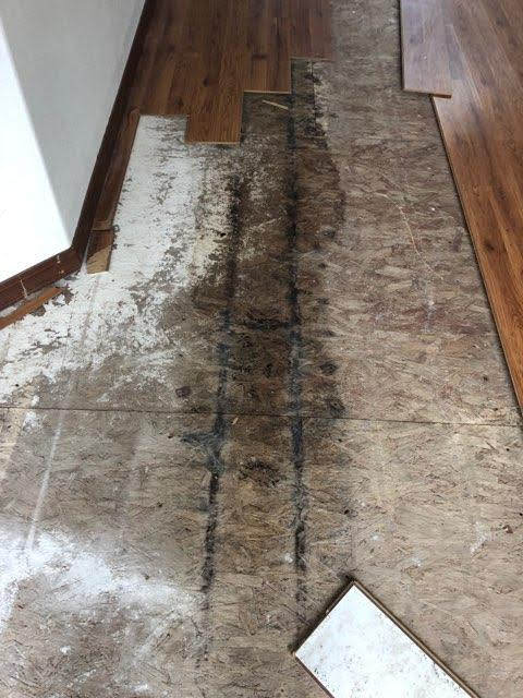 Example of Water Damage
