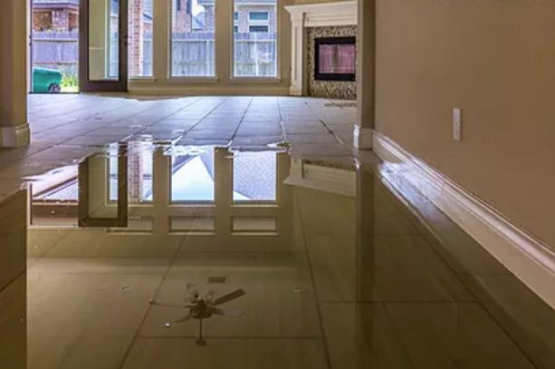 Standing water in the home - Affordable Restorations
