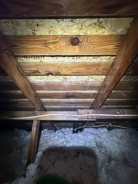 Attic framing after mold remediation