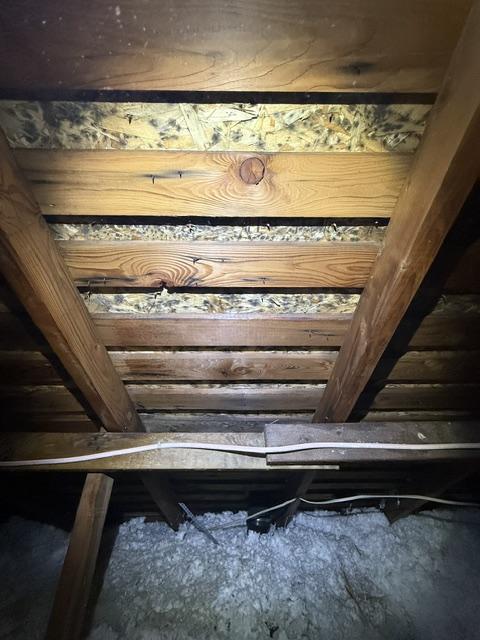 Mold-affected attic framing before remediation