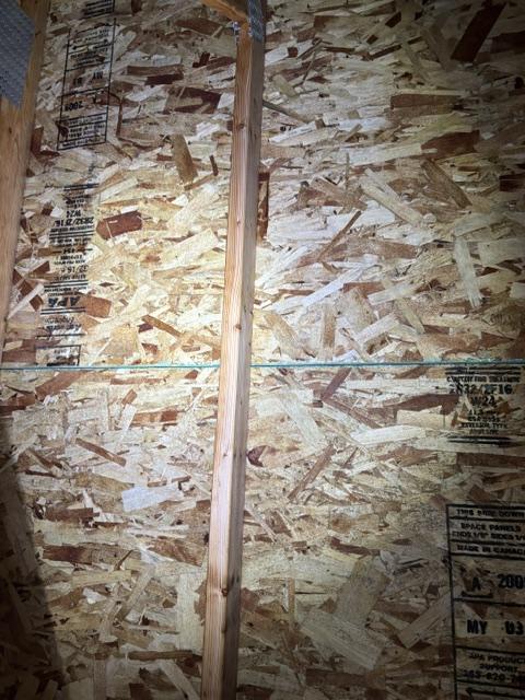 Wood sheathing after mold remediation
