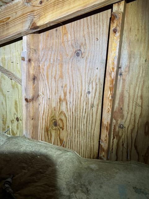 Wood framing after mold remediation