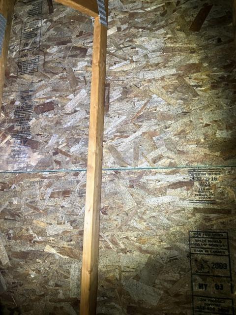 Mold-affected wood sheathing before remediation