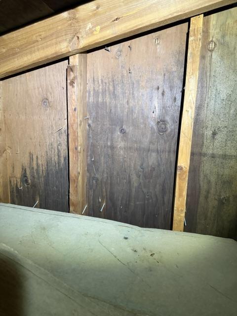 Mold-affected wood framing before remediation
