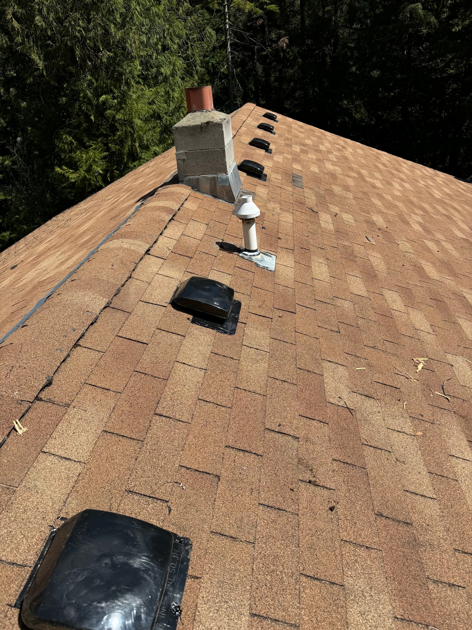 Shingle roof with chimney flashing and roof vents