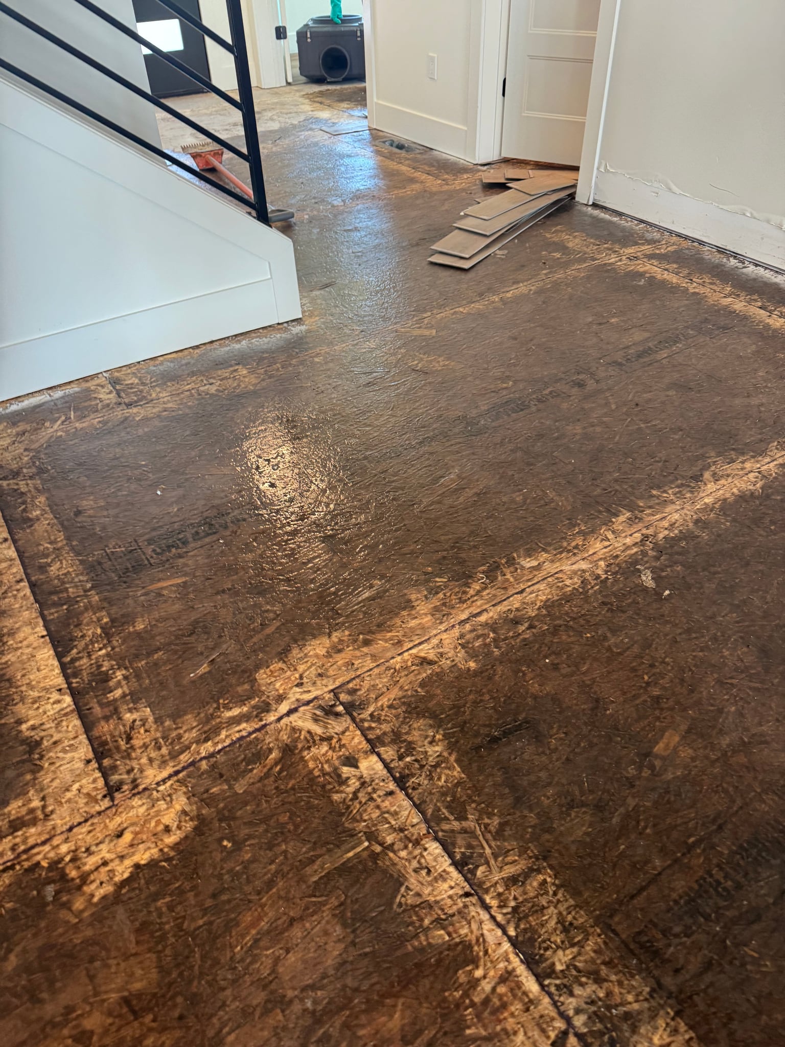 Exposed subfloor during water damage restoration